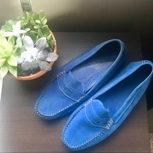 Blue Suede Driving Flat by Mercanti Fiorentini